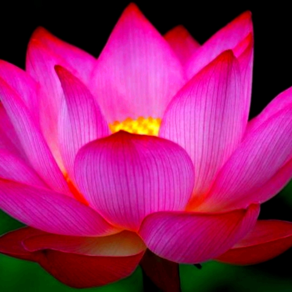 Hi! - Picture 1 of 1